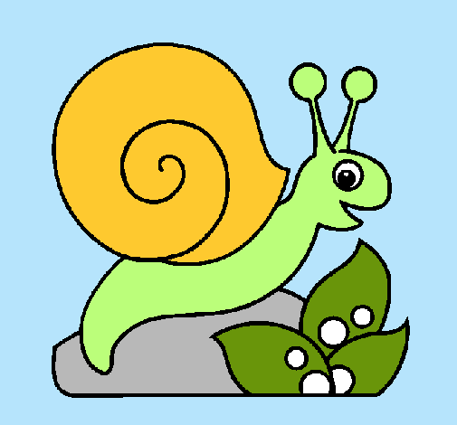 Caracol