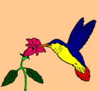 Dibujo Colibrí y una flor pintado por vickita