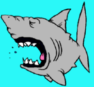 Dibujo Tiburón pintado por  tiburon
