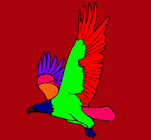 Águila volando