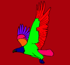Dibujo Águila volando pintado por Rodrigo-Pablo