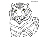 Dibujo Tigre pintado por SELENA57SUI