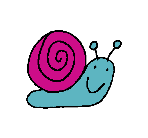 Caracol 4