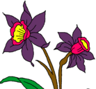 Dibujo Orquídea pintado por Orquidea