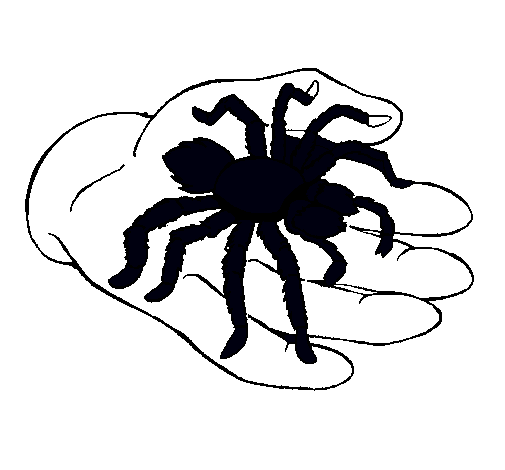 Tarántula