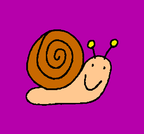 Caracol 4