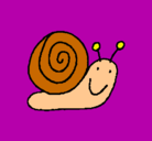 Dibujo Caracol 4 pintado por willianny