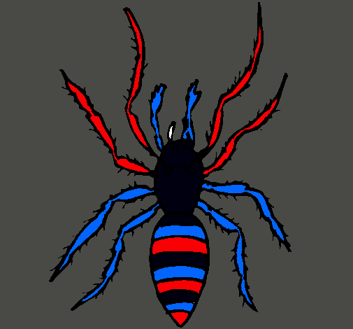 Araña tigre