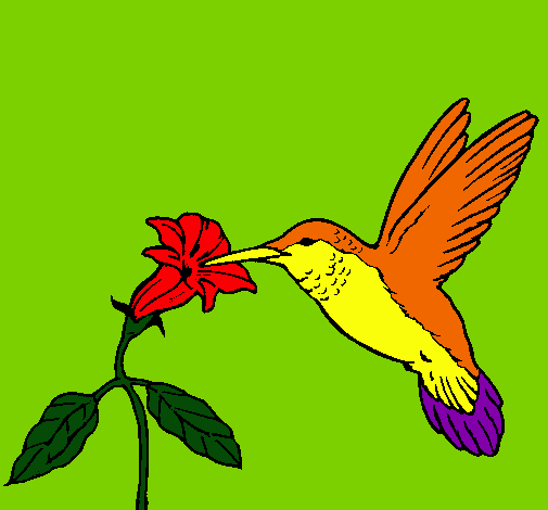 Colibrí y una flor