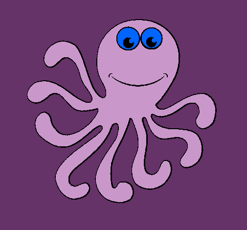 Pulpo 2