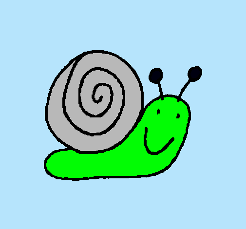 Caracol 4