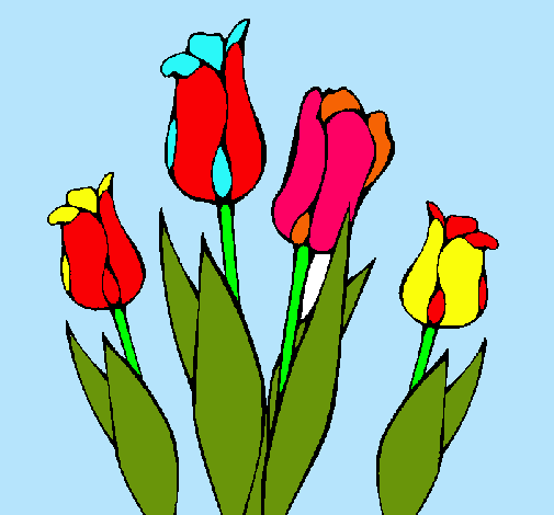 Tulipanes