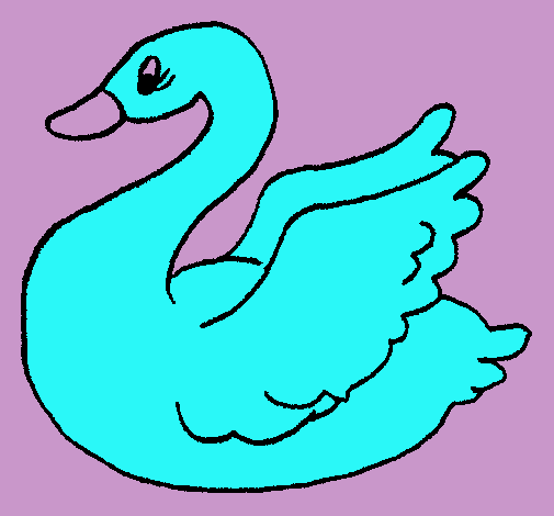 Cisne