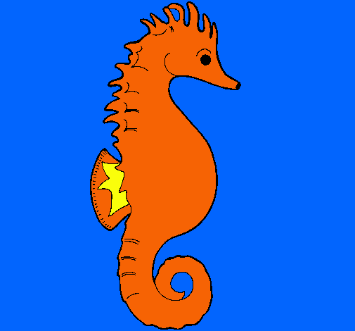 Caballito de mar