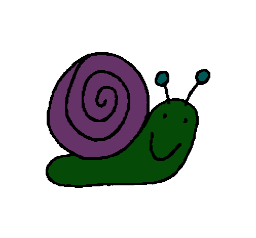 Caracol 4