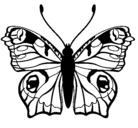 Dibujo Mariposa  pintado por Mindrax