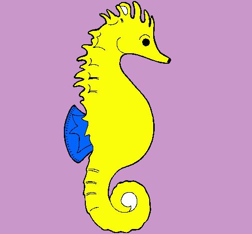 Caballito de mar