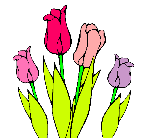 Tulipanes