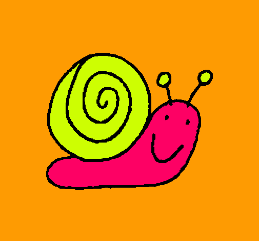 Caracol 4