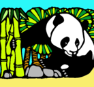 Dibujo Oso panda y bambú pintado por Sisuka97
