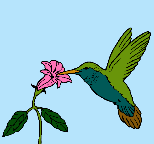 Dibujo Colibrí y una flor pintado por Luchiboom