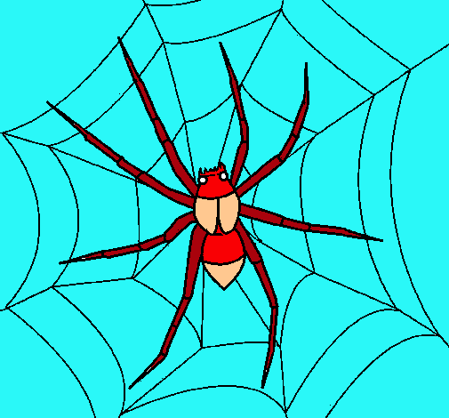 Araña