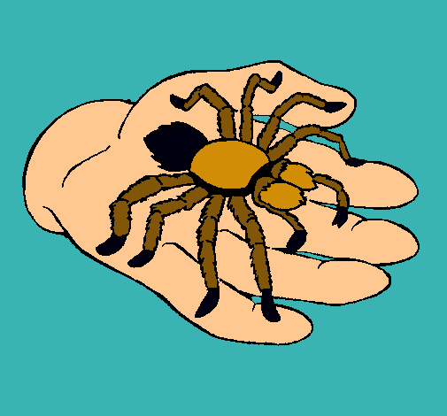 Tarántula