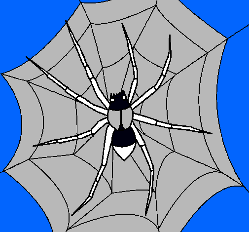 Araña