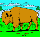 Dibujo Búfalo  pintado por fuegorojo