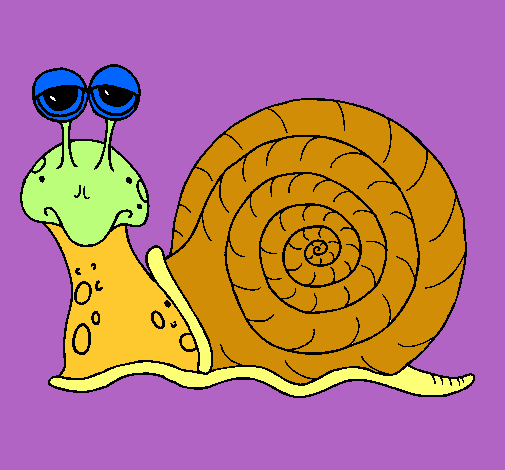 Caracol