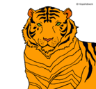 Dibujo Tigre pintado por GDXCHERKDCVE