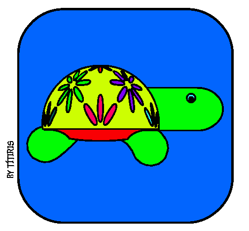 Tortuga 4