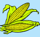 Dibujo Mazorca de maíz pintado por tamifer