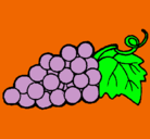 Dibujo racimo pintado por uvas