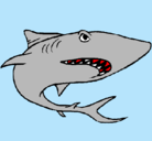 Dibujo Tiburón pintado por MILINA