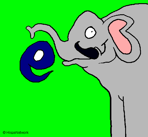 Elefante