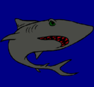 Dibujo Tiburón pintado por leison