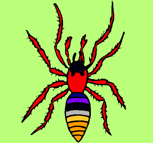 Araña tigre