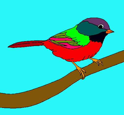 Dibujo Pájarito pintado por michelita_2000