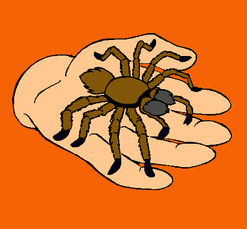 Tarántula