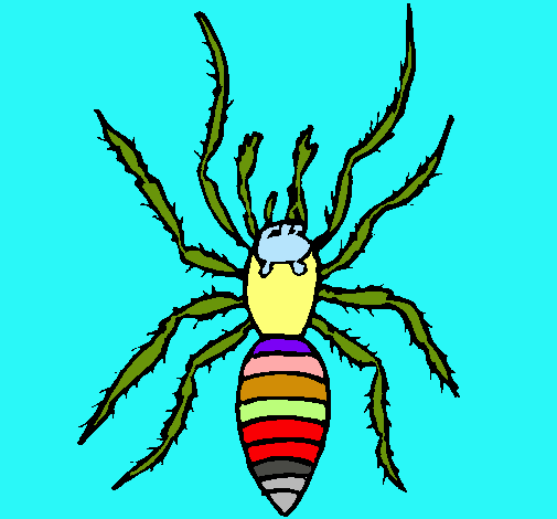 Araña tigre