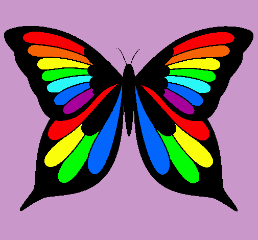 Mariposa