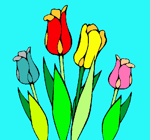 Tulipanes