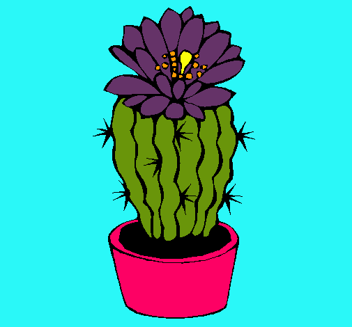 Cactus con flor