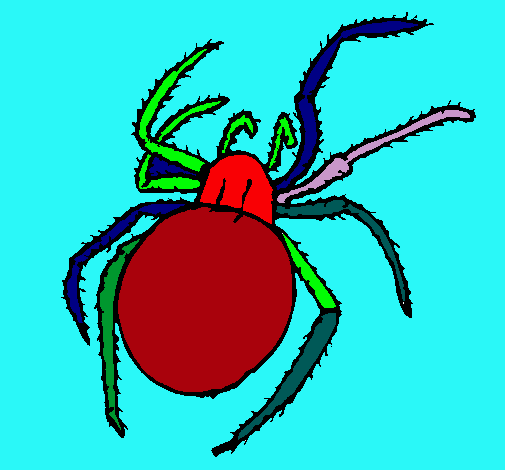 Araña venenosa