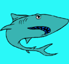 Dibujo Tiburón pintado por adriancho-