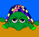 Dibujo Tortuga pintado por flufy