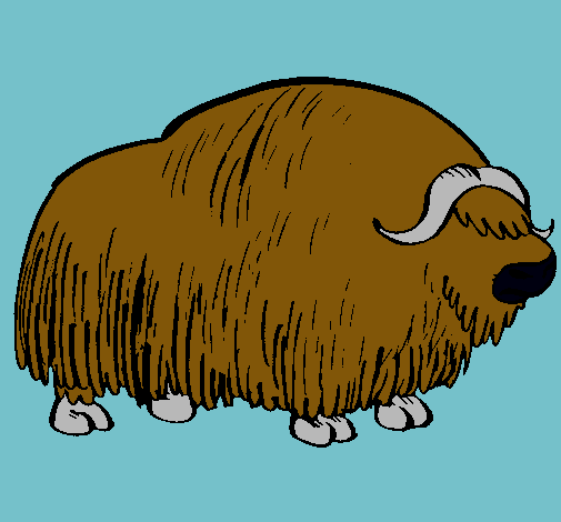 Bisonte