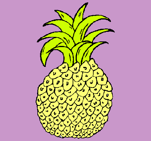 piña