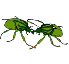 Dibujo Escarabajos pintado por coquiussss